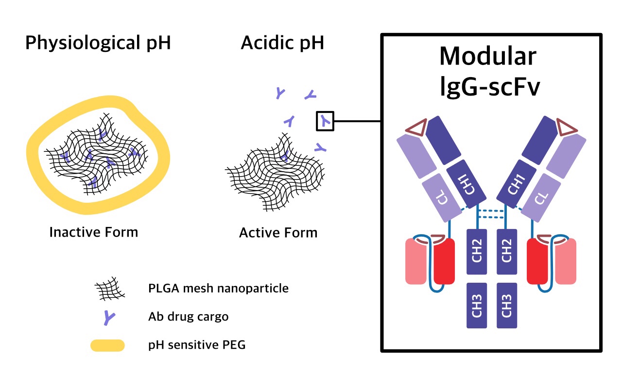 Nanoparticle Mesh